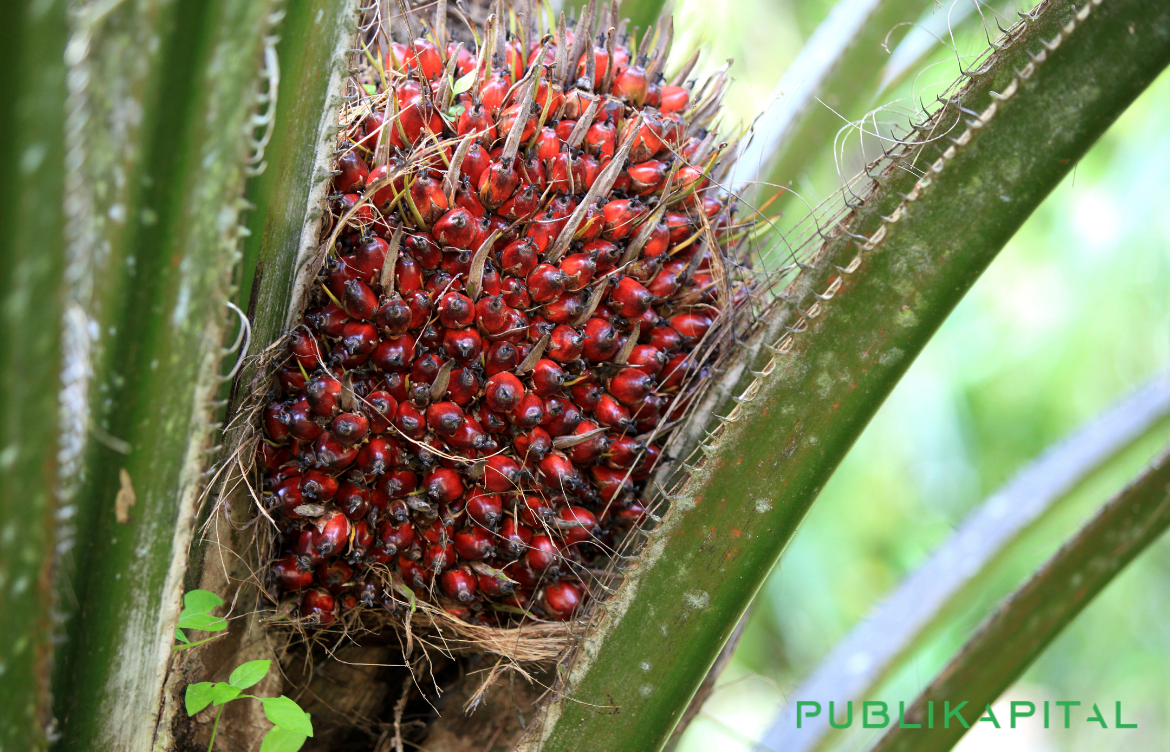 prospek-industri-sawit-2026