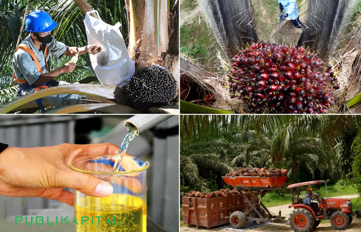 Saham-Astra-Agro-Lestari-2026