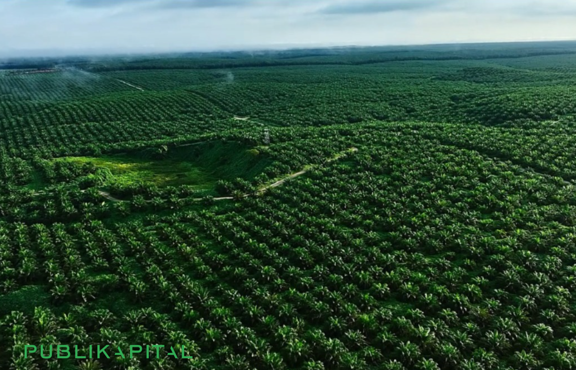 Saham Astra Agro Lestari (AALI): Masih Layak Dibeli di 2026? Cek Dividen, Valuasi, dan Prospeknya