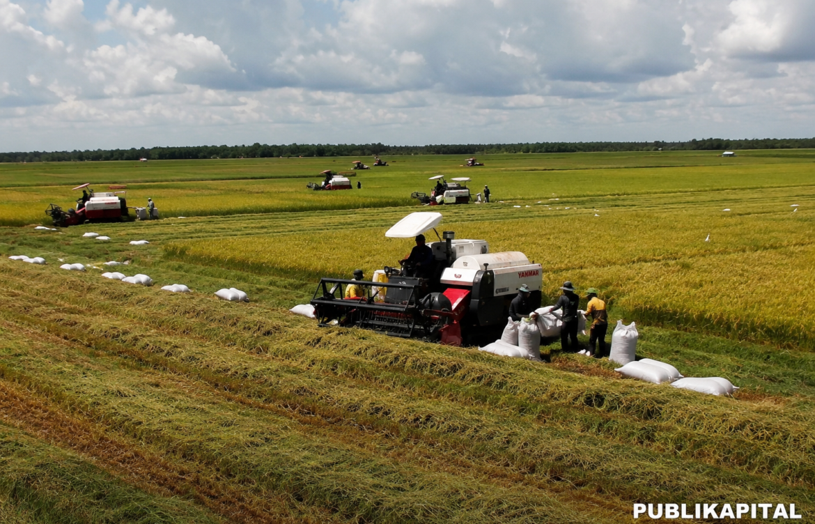 Pentingnya Proyek Food Estate untuk Ketahanan Pangan Nasional di Tengah Ancaman Krisis Global