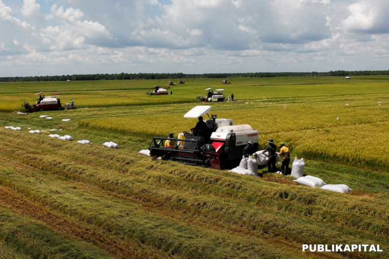 PENTINGNYA-PROYEK-FOOD-ESTATE-UNTUK-KETAHANAN-PANGAN